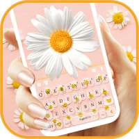 тема для клавиатуры Lovely Daisy on 9Apps