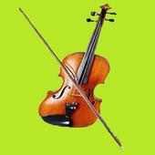 Violin (Original)