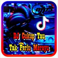 DJ Cukup Tau Tak Perlu Merayu x Im Lady Remix