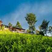 Leopard's Den Coonoor