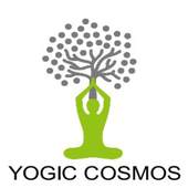 Yogic Cosmos