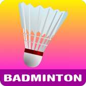 Badminton Lessons