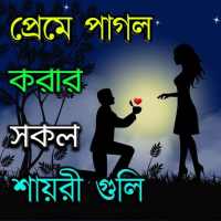 New Bengali Shayari  - Love SMS Bangla