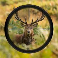 究極の鹿の狩猟3D