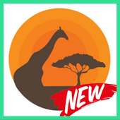 Kruger Sightings - WildLife Video on 9Apps