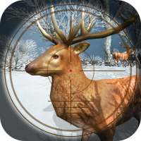Deer Hunting Sniper Shoot 3D