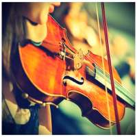 Learn to play violin with tutorials