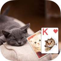 Solitaire Cute Cats Theme on 9Apps