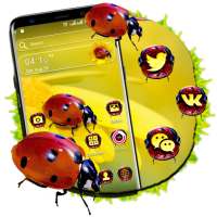 Ladybug Sunflower Launcher Theme