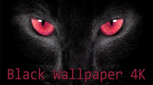 Black Wallpaper 4K APK Download 2023 - Free - 9Apps Black Wallpaper 4K APK Download 2023 - Free - 9Apps