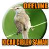 Suara Ciblek Sawah Gacor Mp3 on 9Apps