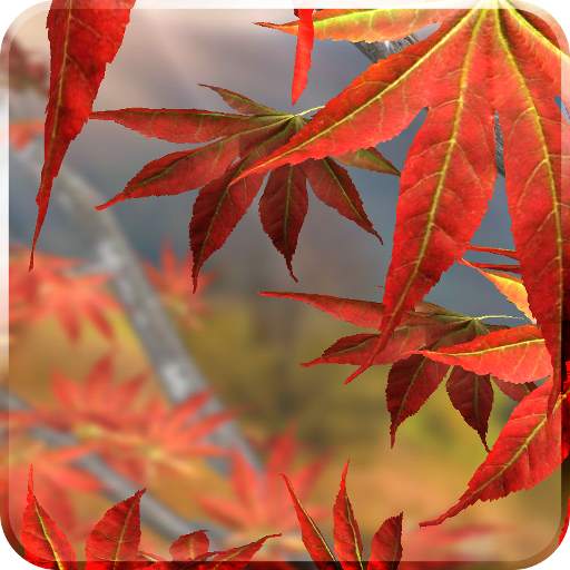 Autumn Tree Free Wallpaper