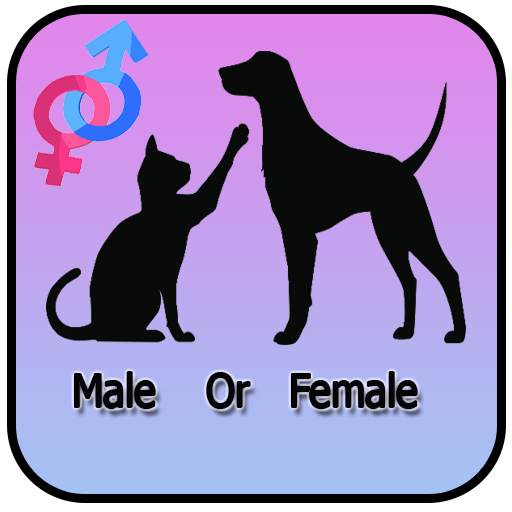 ANIMAL SEX IDENTIFIER