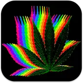 Descarga de la aplicación Fondos de Pantalla Marihuana 2023 - Gratis - 9Apps