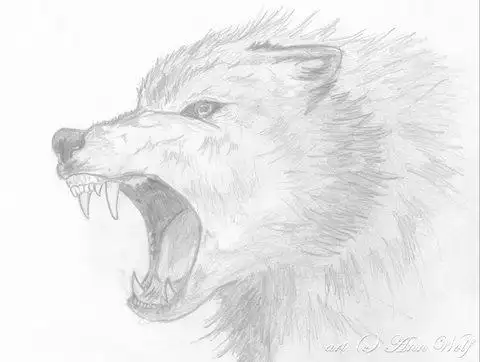 Animal Sketch Drawing APK Download 2023 - Free - 9Apps Animal Sketch Drawing APK Download 2023 - Free - 9Apps