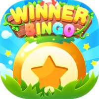 Lucky Bingo Winner - Make Money & Gift Cards Prize
