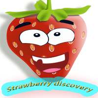 Strawberry Discovery