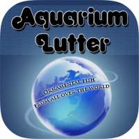Aquarium Lutter