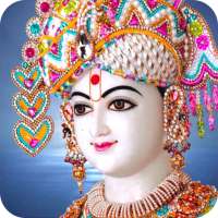Swaminarayan Ringtones on 9Apps