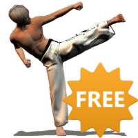 Taekwondo Forms (Sponsored) on 9Apps