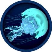 Ocean Jellyfish Live Wallpaper
