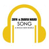 A Whole New World - Zayn Songs Lyrics