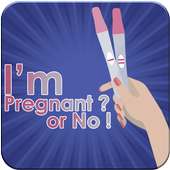 Test Pregnancy Scanner | Simulator