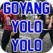 Goyang Yolo Yolo