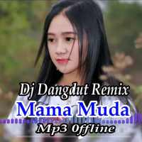 Dj Dangdut Remix Goyang Mama Muda offline on 9Apps