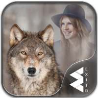 Wolf Photo Frames on 9Apps