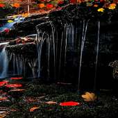 Autumn Waterfall LWP