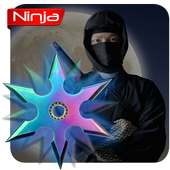 Ninja Fidget Spinner
