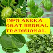 1001 Obat Tradisional Herbal on 9Apps