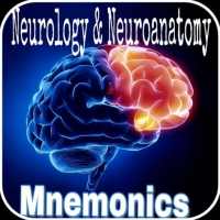 Neurology & Neuroanatomy Mnemonics on 9Apps