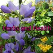 Herbs and Health on 9Apps