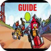 Guide For Angry Birds Go