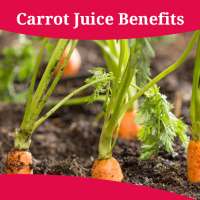 Carrot Juice Benefits on 9Apps