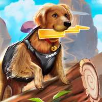 Zoro Pet Run – Multiplayer Dog Rush Racing Games