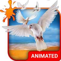 Doves Animated Custom Keyboard + Live Wallpaper