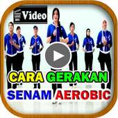 Video Gerakan Senam Aerobik on 9Apps