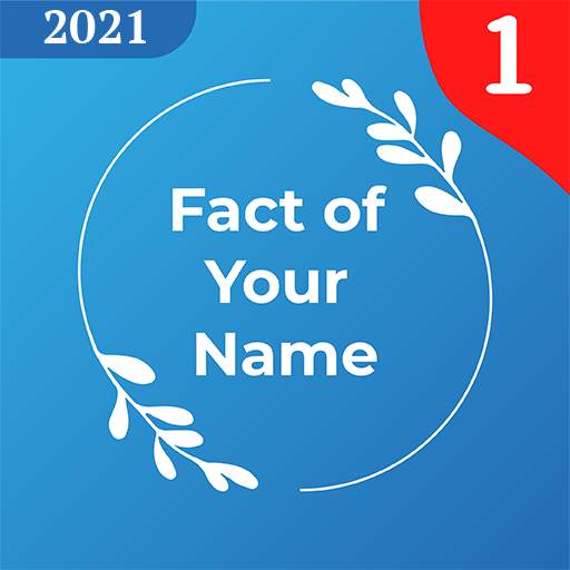 Fact of Your Name - Name Meani