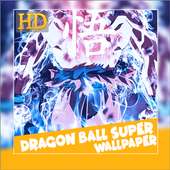 DRAGON  DBS HD LIVE WALLPAPER on 9Apps