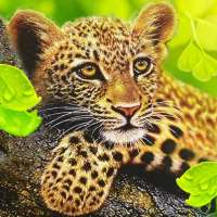 El leopardo