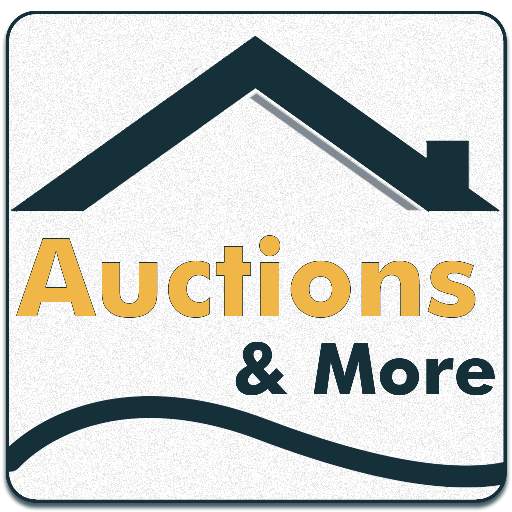 Auctions and More