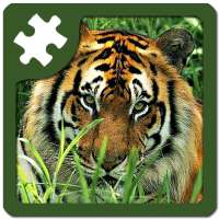Wild animals puzzle: Jigsaw