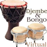 Virtual Djembe & Bongo on 9Apps