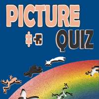 Picture Quiz