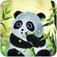 Panda Live Wallpaper for Free on 9Apps