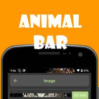 Animal Bar - Custom Bar with animal wallpaper