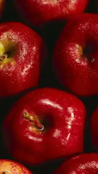 Apple Fruit Wallpapers HD APK Download 2023 - Free - 9Apps